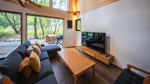 Aerial Chalet Salon