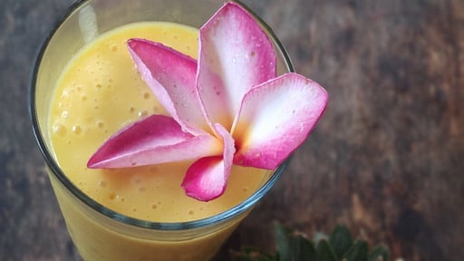 Aloe Ecological Boutique Villas Others