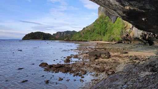 Aloe Ecological Boutique Villas Surroundings