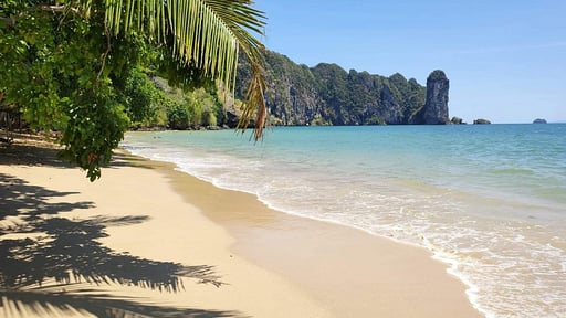 Aloe Ecological Boutique Villas Surroundings