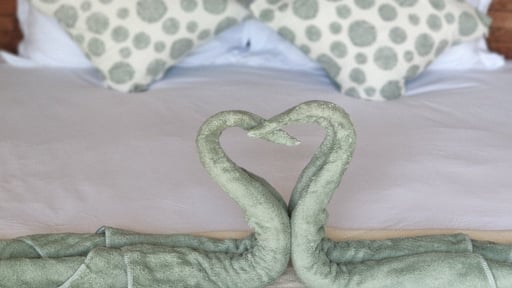 Aloe Ecological Boutique Villas Others