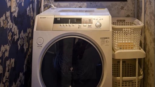 Alps Aunty Cottage Others