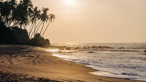ÀNI Sri Lanka Strand