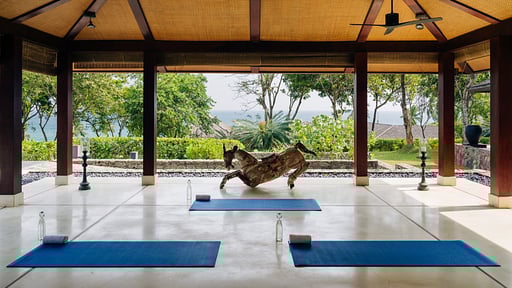 ÀNI Sri Lanka Andere 