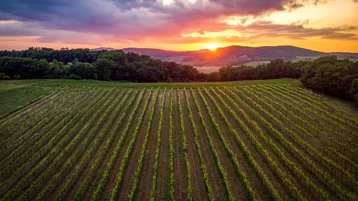 Villa Anna Drone foto's