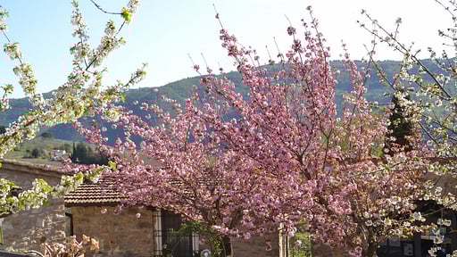 Apartment Aldo Others