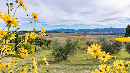 Apartment Mandarino Podere Bagnolo Surroundings
