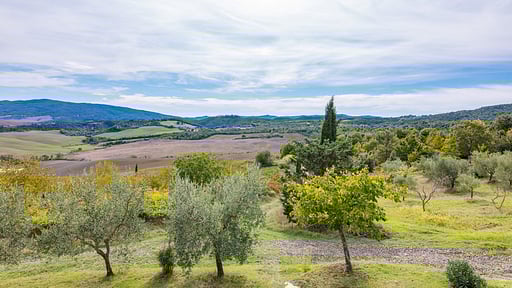 Apartment Mandarino Podere Bagnolo Surroundings