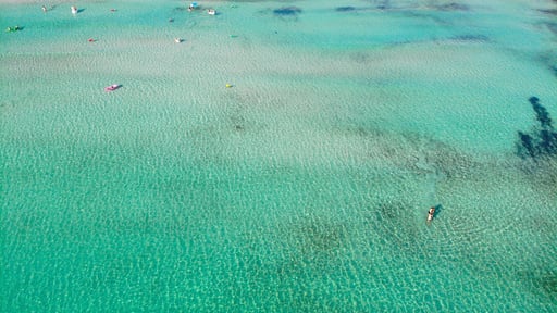 Apartment Fantastic Otros