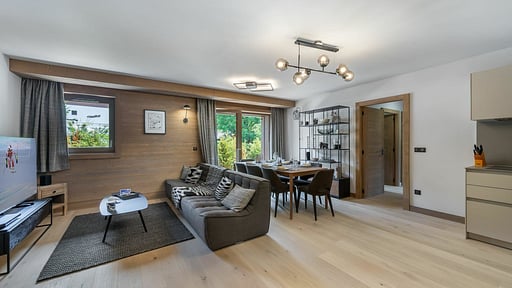 Apartment Stallion B12 Living room