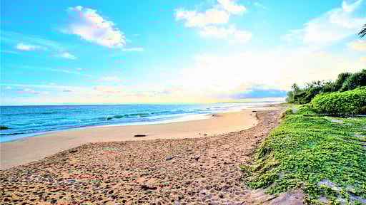 Arhimser Villa Plage