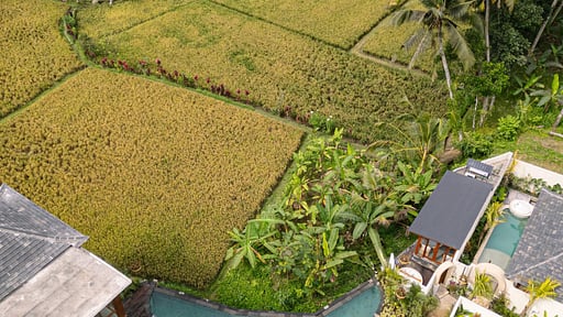 Asvara Resort 1 Bedroom Villa with Private Pool Drone pictures