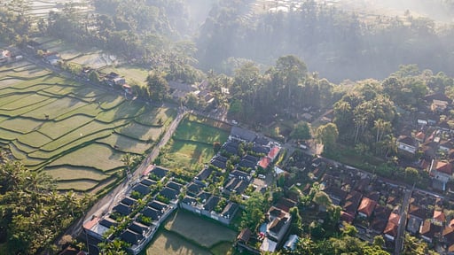 Asvara Grand Ricefield View Villa One Drone pictures
