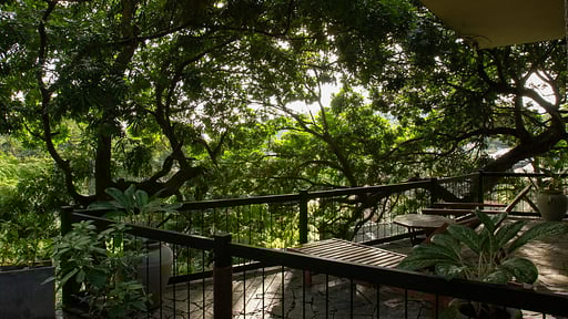 Avalon and Acland Villa Terrazza/Veranda