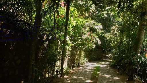 Avalon and Acland Villa Others