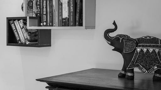 Ballarat Luxury Villa Others