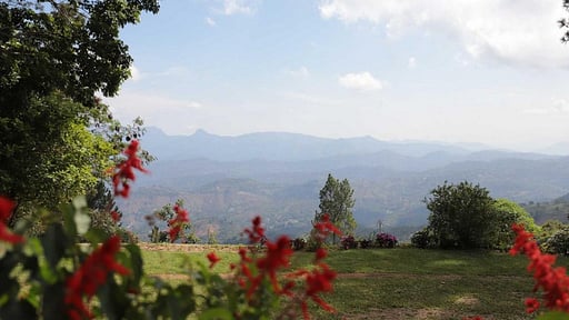 Bawlana Estate Bungalow Surroundings