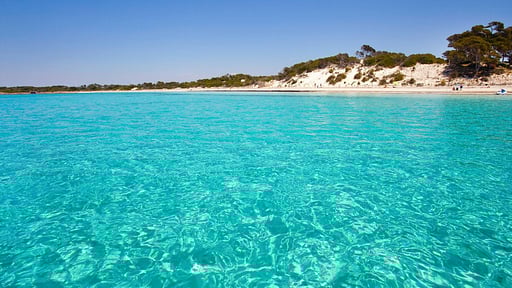 Beachfront Apartment Migjorn Playa Beach