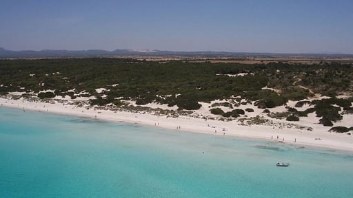 Beachfront Apartment Migjorn Playa Beach