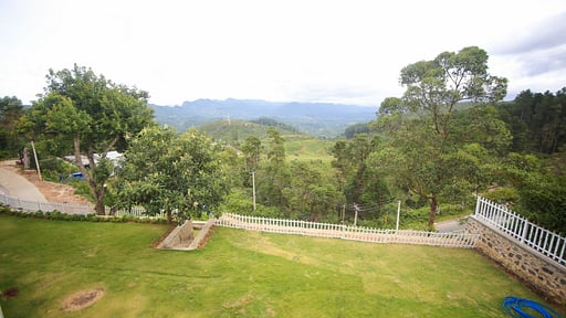 Benito Bungalow Garden