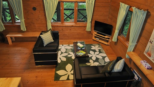 Big Foot Cabin Living room