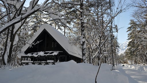 Big Foot Cabin Surroundings
