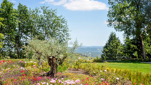 Bisenzio Farmhouse Garden