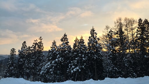 Black Crane Chalet Others