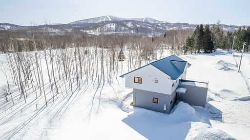 Blue Heron Chalet Drone pictures