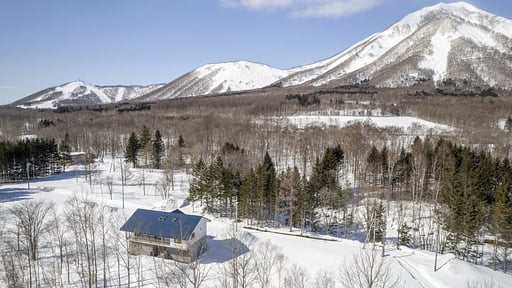 Blue Heron Chalet Drone pictures