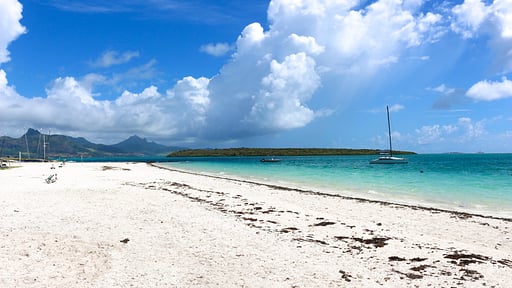 Blue Nest Premium Apartment Beach