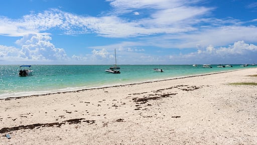 Blue Nest Premium Apartment Beach