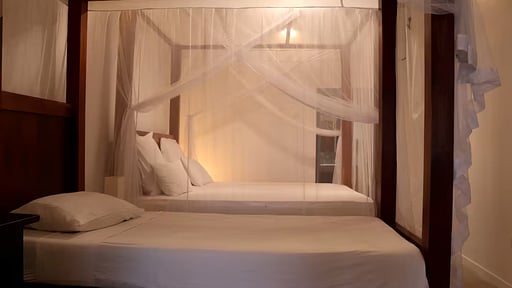 Blue Parrot Beach Villa Bedroom 2