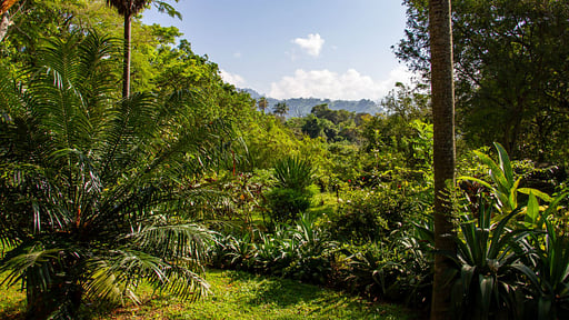 Bougainvillea Retreat Surroundings