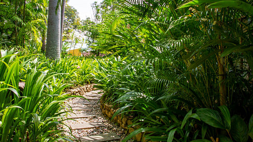 Bougainvillea Retreat Surroundings