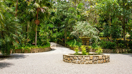 Bougainvillea Retreat Surroundings