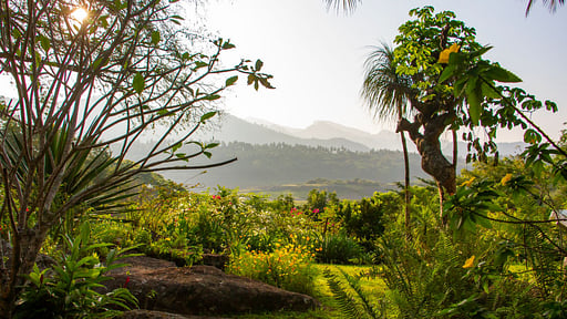 Bougainvillea Retreat Surroundings