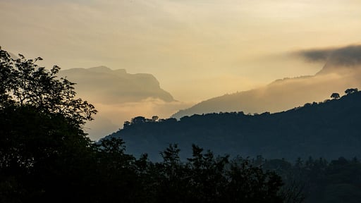 Bougainvillea Retreat Surroundings
