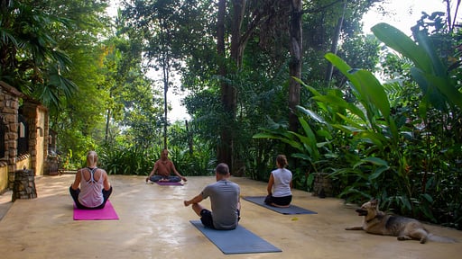 Bougainvillea Retreat Spa