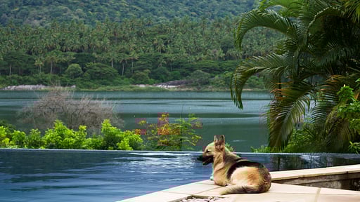 Bougainvillea Retreat Swimming pool