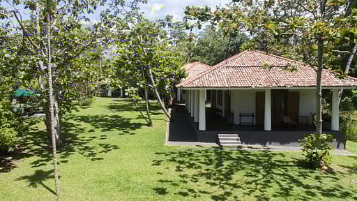 Boundary House Garden