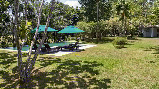 Boundary House Garden