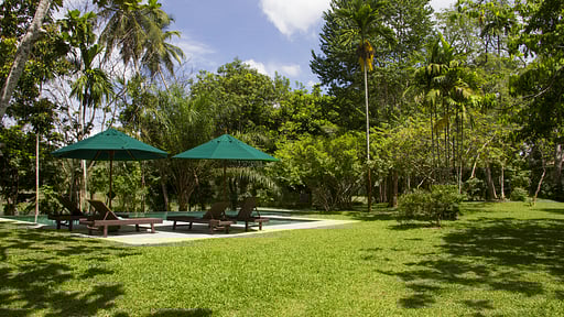 Boundary House Garden