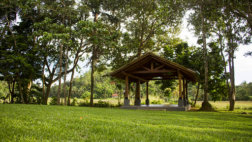 Boundary House Garden