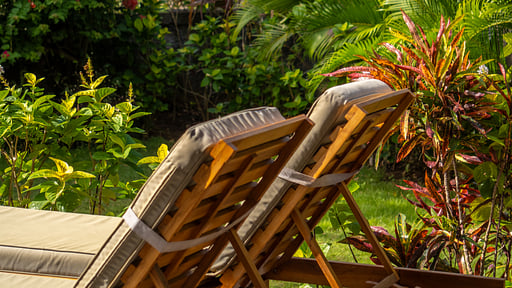 Breezy Flamboyant Villa Others