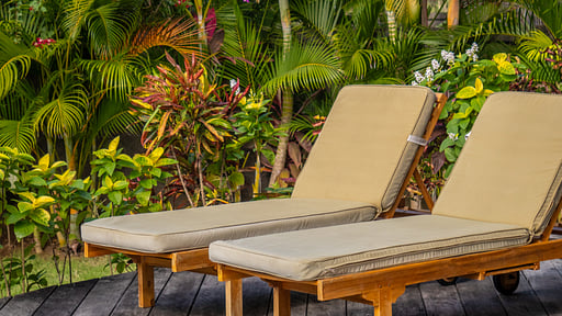Breezy Flamboyant Villa Others