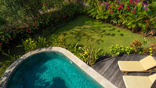 Breezy Flamboyant Villa Swimming pool