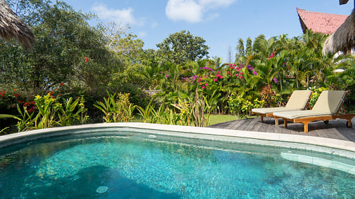 Breezy Flamboyant Villa Swimming pool