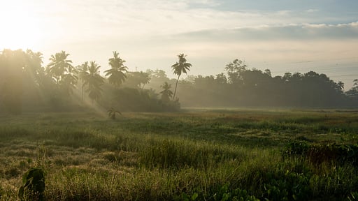 Budtt Farm Villa Окрестности