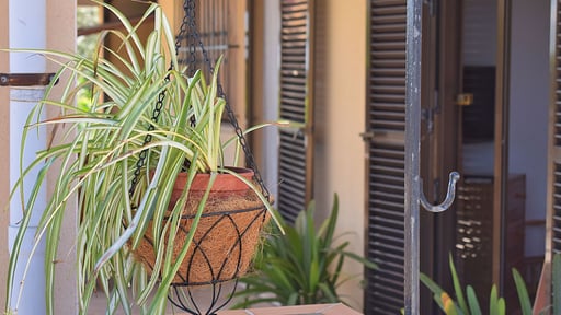 Casa Ca Na Coloma Terrace/Veranda